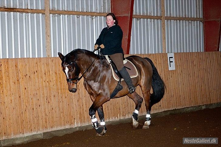 Anden særlig race Thito billede 9