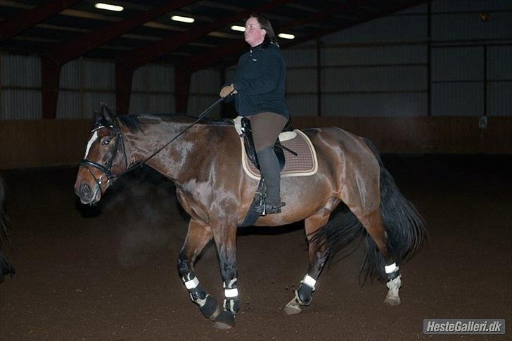 Anden særlig race Thito billede 10