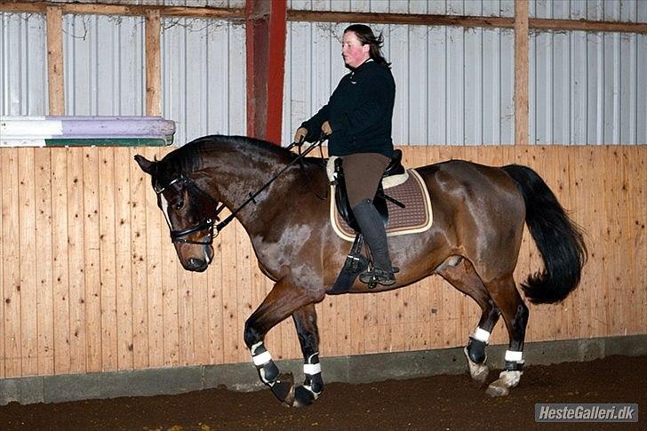 Anden særlig race Thito billede 11