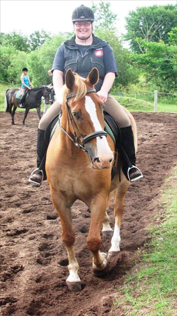 Anden særlig race Anton - (Antonio) - Maria ridder på Anton :D hun var sg´ ikke helt glad for at komme op på ham, men med overtagelse og en masse tjenester fik vi hende op :D billede 13