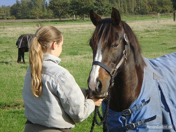 Anden særlig race Mr. Malibou - tak for kigget og læg gerne en kommentar <3 billede 18