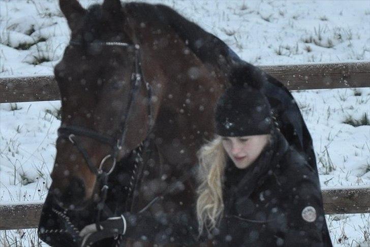 Svensk Varmblod A-tack - Jeg og Tacker i sneen, på stald-otto. billede 4