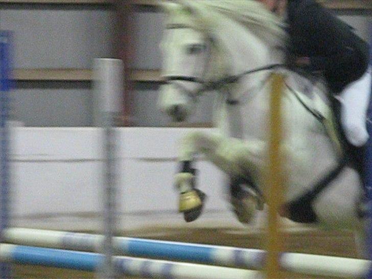 Connemara Skatholm Surf Rider billede 7