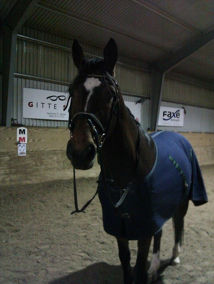 Anden særlig race Travelli<3 - Tag et billede, jeg elsker det;* billede 5