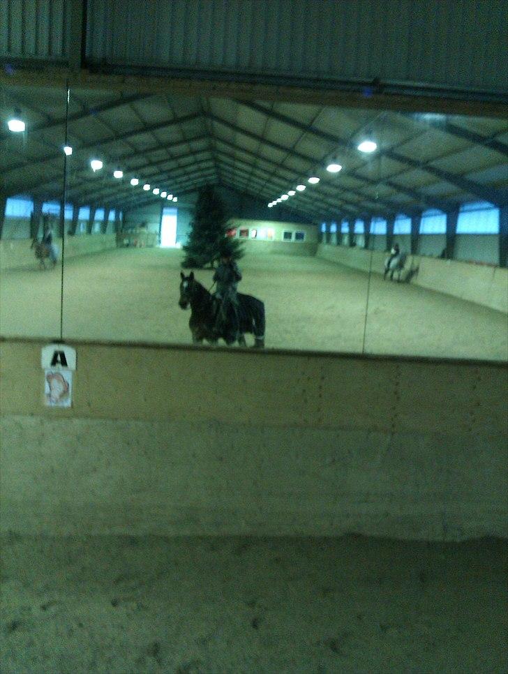 Anden særlig race Travelli<3 - uuuh, hvad laver hun:D billede 10
