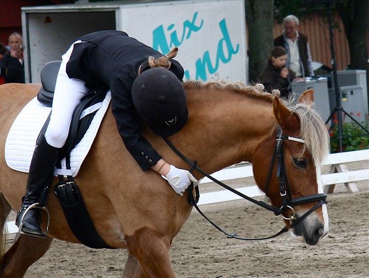 New Forest Firfod Flittiglize - Fordi du er så dygtig miin pige  billede 17