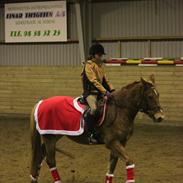 Anden særlig race Petra