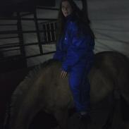 Anden særlig race Bobby