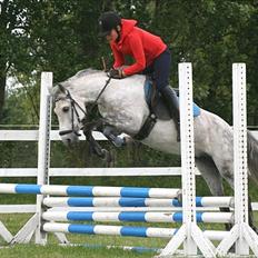 Anden særlig race Stella 