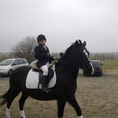 DSP Skovgårdens Sigma ( R.I.P)