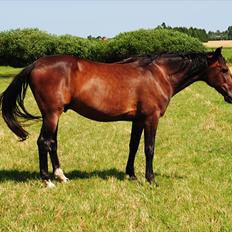 Traver L D White R.I.P 