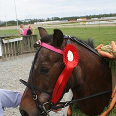 Anden særlig race Fifi (død):'-(