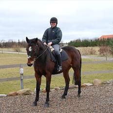Anden særlig race Tulle<3(Solgt)