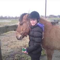 Anden særlig race Bobby