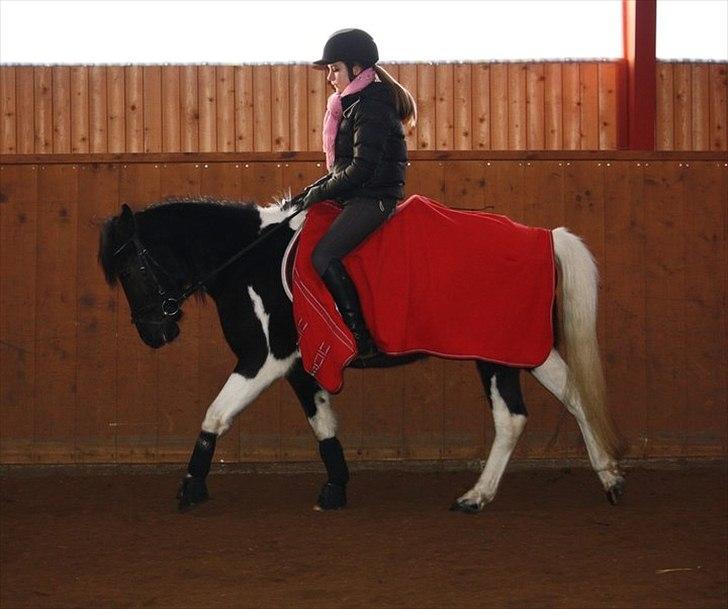 Anden særlig race Prinsesse Ibeline [tidligere part] - min prinsesse. :´) Fotograf: Louise Knudsen.  billede 16