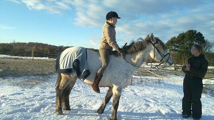 Anden særlig race Mandy Solgt i; - første tur på Mandy.  foto=sofie billede 1