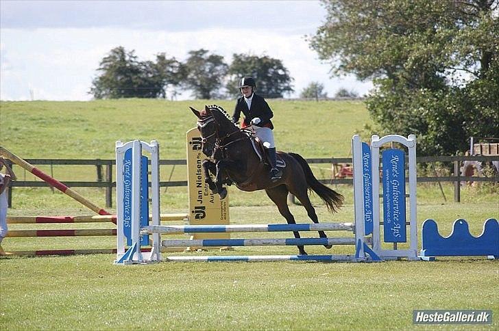 Holstener Magic billede 4