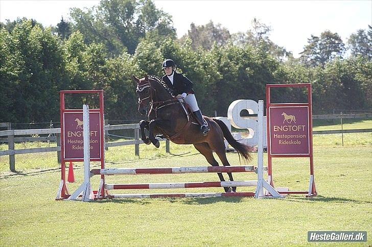 Holstener Magic billede 5