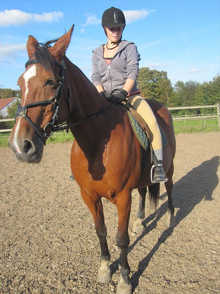 Anden særlig race Regitze billede 16