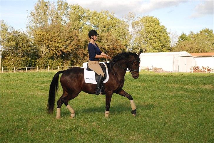 Anden særlig race Milton - Milton er blevet tilredet :) billede 7