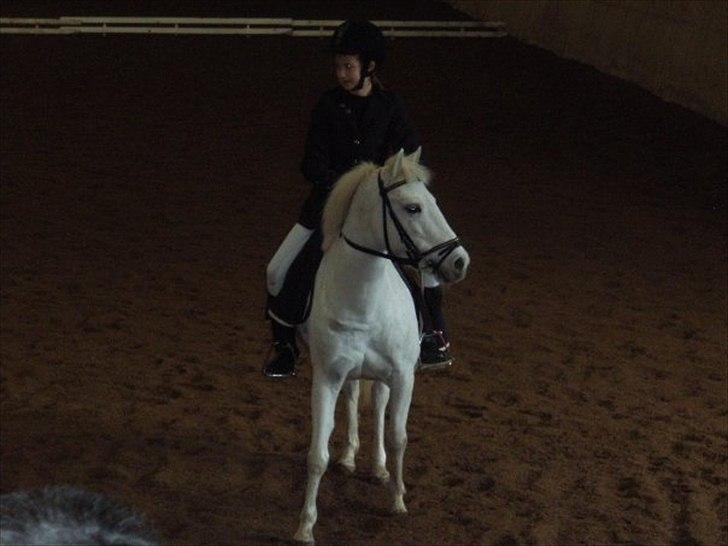 Anden særlig race KOKOS - Første stævne;-) billede 11