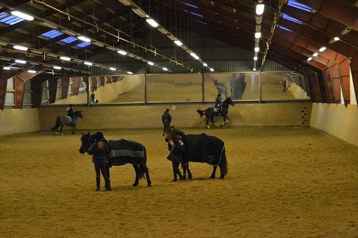 Anden særlig race pontus billede 12