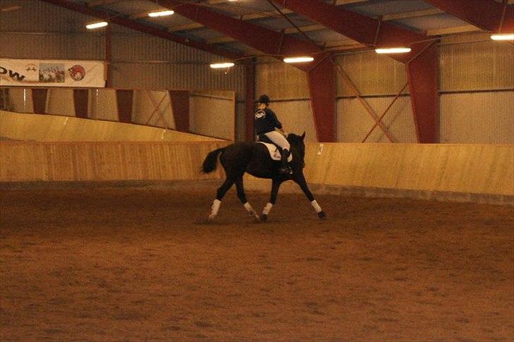 Holstener Loutiana B. [RIP] billede 7