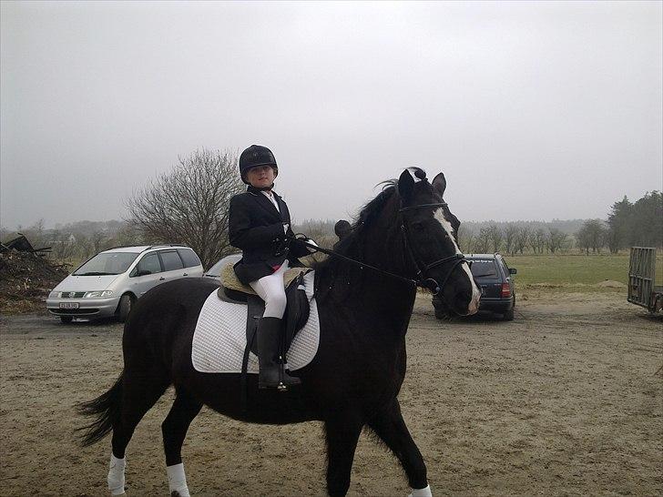 DSP Skovgårdens Sigma ( R.I.P) - Emmas første ridestævne 2. april 2011 billede 2