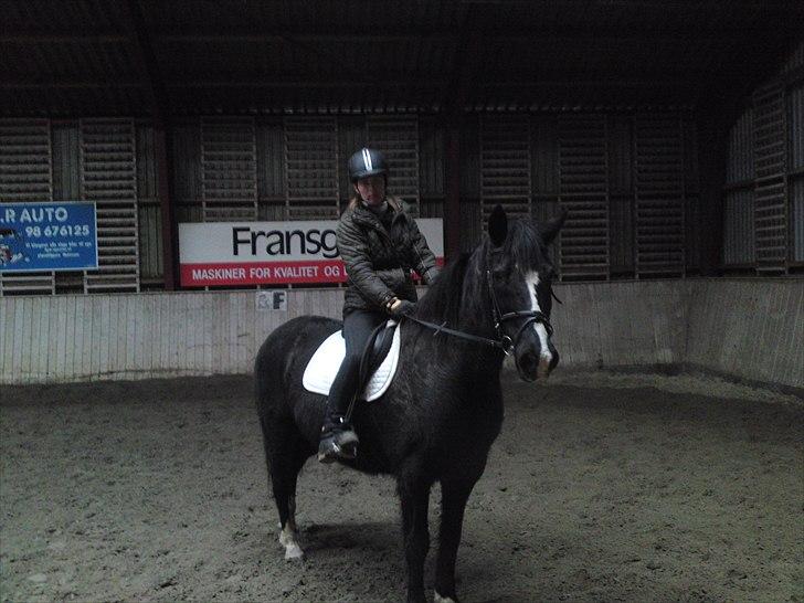 DSP Skovgårdens Sigma ( R.I.P) billede 5