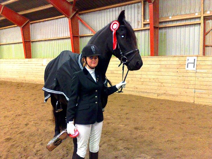 Frieser Jetse Fan Rewert STER - Stævne i Klarup billede 13