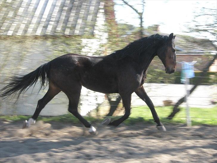 Traver L D White R.I.P  - Legetid på banen billede 4