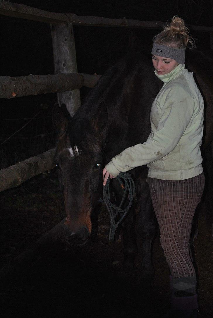 Traver L D White R.I.P  - Træning fra jorden i vores roundpen.  billede 5
