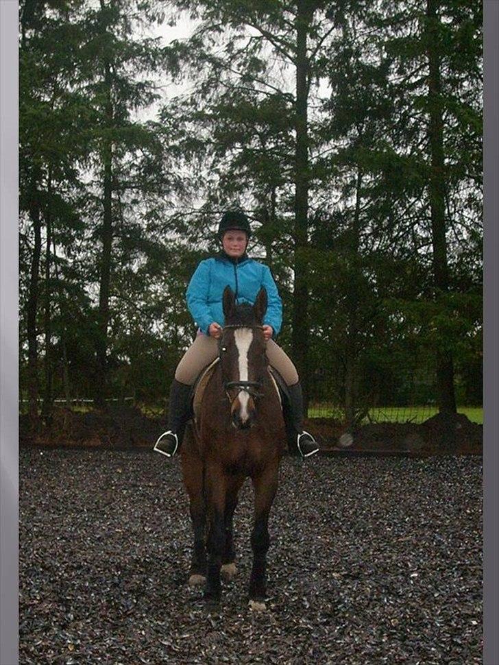 Dansk Varmblod Minelli Mosegård  - Lisette og Minelli billede 11