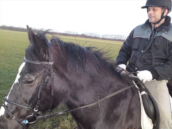 DSP Skovgårdens Sigma ( R.I.P) - Brian og Sigma på tur 4 feb.2011 billede 6