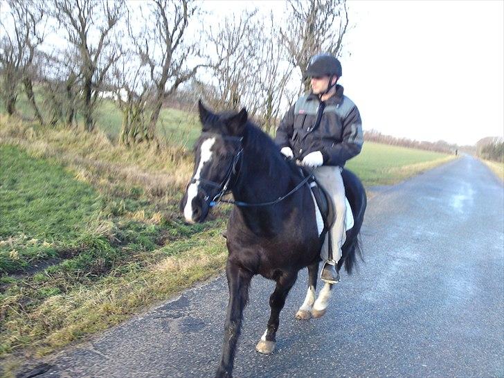 DSP Skovgårdens Sigma ( R.I.P) - Brian og Sigma på tur 4 feb 2011 billede 7