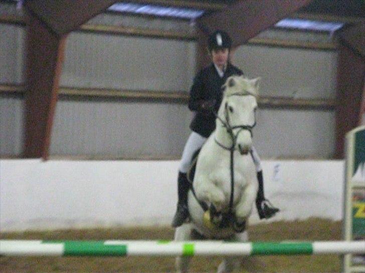 Connemara Skatholm Surf Rider billede 8