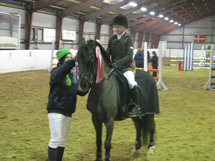 Anden særlig race Engtoft's Black Jack (solgt & savnet) - Vi vandt vores første LB2*, Black Jack er bare den bedste! billede 6