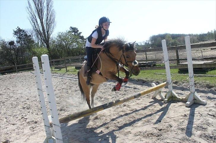 Anden særlig race Smukke Pocahontas!<3 - Springer fantastisk!!! <3  billede 9