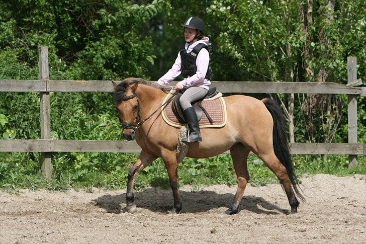 Anden særlig race Smukke Pocahontas!<3 - Min stjerne! <3  ( foto ©AM )  billede 10