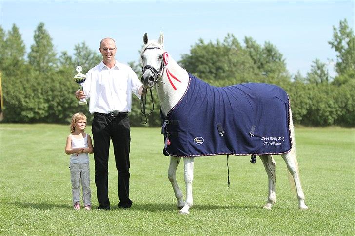 Arabisk fuldblod (OX) Gaysouna - August 2010 billedet er taget af Simii billede 16