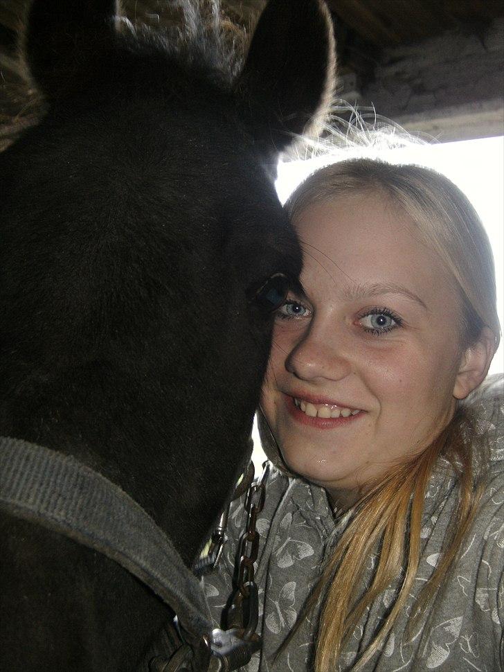 Anden særlig race Rollo <3 billede 20