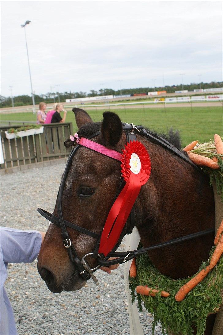 Anden særlig race Fifi (død):'-( - Fifi var rigti glad for gulerodskransen som hun vandt billede 3