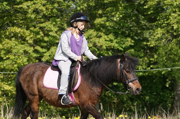 Anden særlig race Fifi (død):'-( - Fifi og jeg træner på ridebanen hjemme. billede 4