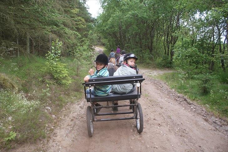 Anden særlig race Fifi (død):'-( - På skovtur billede 9