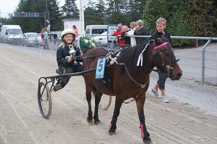 Anden særlig race Fifi (død):'-( - Fifi og jeg har vundet et løb i Skive billede 11