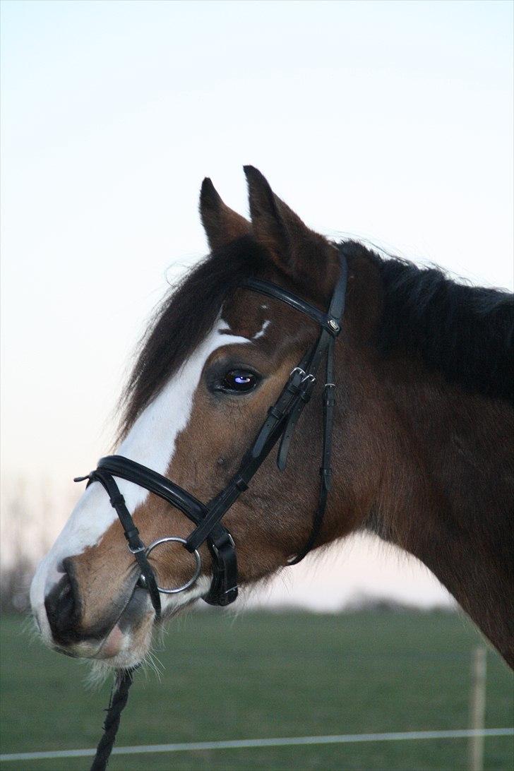 Paint Dunlaps Master Chief <3  billede 12