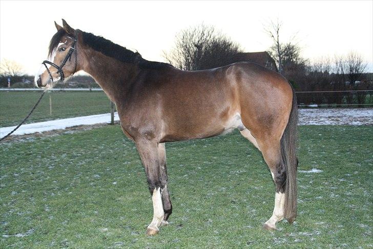 Paint Dunlaps Master Chief <3  billede 13