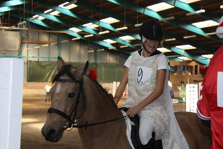 Connemara Loftsome Sandora - hah<3 billede 7