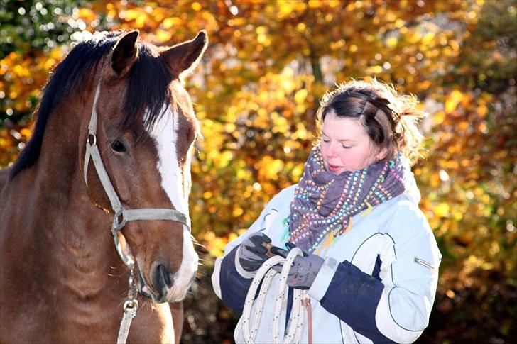 Dansk Varmblod Stokbroens Camaro - Mmmh mor - har du snoller? :) billede 6