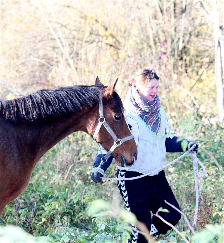 Dansk Varmblod Stokbroens Camaro - Mansen og mig på skovtur ;) billede 10